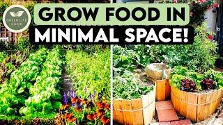 Smart Gardening: Grow Your Own Food in Minimal Space