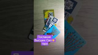 Послание Высших Силтаро