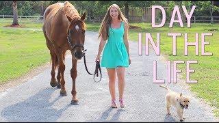 DAY IN THE LIFE OF AN EVERYDAY EQUESTRIAN! [BARN VLOG]!