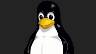 Which Linux distro do I use?