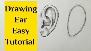 How to draw ear easy step by step Ear drawing for beginners tutorial Basic drawing for beginners