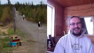 Shark wheels review | Off-grid skateboarding in Alaska | Sourdough Skateboarding