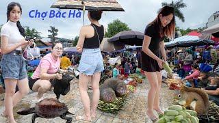 Chợ Bắc Hà ngày mưa vẫn la liệt đồ rừng và dược liệu-Du khách đội mưa đi chợ như trẩy hội