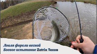 Ловля форели весной. Испытание комплекта Zetrix Tezza и Daiwa Iprimi в боевых условиях.