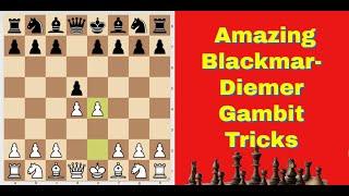 Amazing Blackmar-Diemer Gambit Tricks | Tricks, Traps And Blunders 47