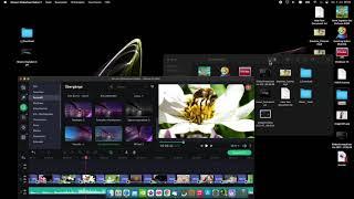 Movavi Slideshow Maker 2021 Tutorial Deutsch