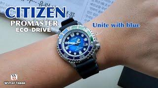 เรือนนี้ดีขนาดนี้ ทำไมไม่มีใครสนใจ! CITIZEN Promaster Eco-Drive BN0166-01L - Wimol Tapae