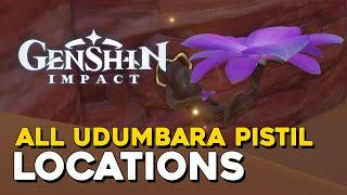 Genshin Impact All Udumbara Pistil Locations