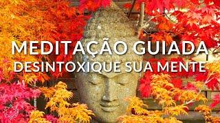 MEDITAÇÃO GUIADA: DESINTOXIQUE SUA MENTE (LIMPEZA DOS PENSAMENTOS LIMITANTES)