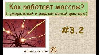 Как работает массаж (гуморальный и рефлекторный факторы) | Урок 3, часть 2 | Уроки массажа