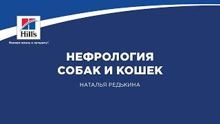 Вебинар на тему: "Нефрология собак и кошек". Лектор - Наталья Редькина.