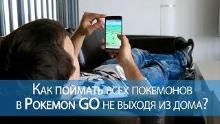 Как поймать всех покемонов в Pokemon GO не выходя из дома?