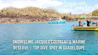 Snorkeling Jacques Cousteau’s Marine Reserve | Top Dive Spot in Guadeloupe