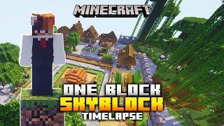 Minecraft OneBlock SkyBlock - Timelapse #1