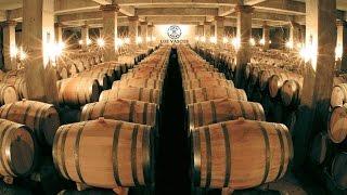 Winzer-Story:  Viña Los Vascos by Lafite Rothschild - Hawesko-Weinhandel