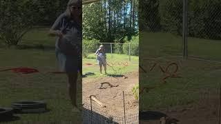 April 2025The start again pollinator garden. Seeds didn’t work at all. Now decorating the dirt.