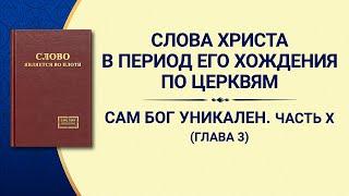 Слово Божье | Сам Бог уникален. Часть X Бог — источник жизни всего сущего (IV) (Глава 3)