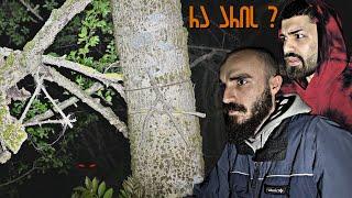 გავატარეთ 24 საათი ჯადოებით სავსე ტყეში ! სად წავედით ღამის 3 საათზე ?