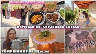 ROTINA DE SEGUNDA FEIRA EM TEMPO REAL | COMPRAS PARA O LAR | VARANDA LINDA MORANGOS  E ALMOÇO