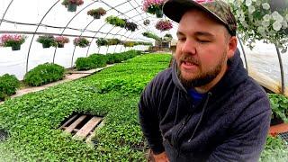 Making a 100 year old update on our farm