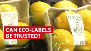 Can Eco-labels Be Trusted? | Coming Clean About Green | CNA Insider