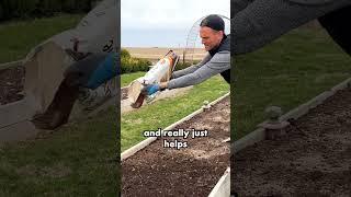 Fertilizing a Raised Garden Bed  || Wyse Guide