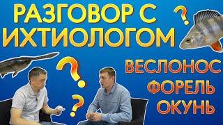 Разговор  с ихтиологом. Рассказываем про веслонолса,  про разведение форели. И немного об окуне