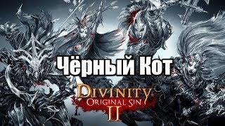 Divinity Original Sin 2 черный кот