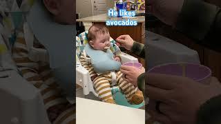 #babyfood #cutebaby #funny #viral #trending #hits #subscribe #momlife