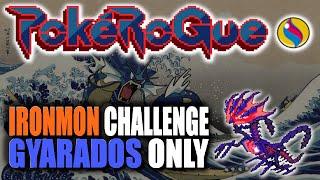 Magikarp VS PokeRogue | Hardcore Ironmon Challenge