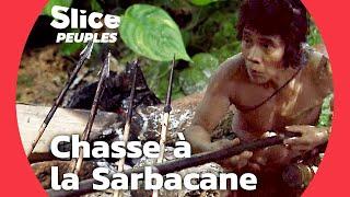 La Sarbacane Empoisonnée des Punans : Maîtres de la Jungle | SLICE PEUPLES