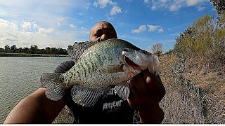 Catch Clean and Cook Crappies and Still Learning This Pond!