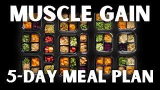 Build Muscle Fast: 5-Day Meal Plan for Maximum Gains