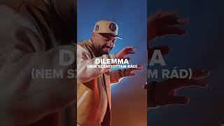 DR BRS x Radics Gigi bring new sound to "Dilemma" by Nelly ft. Kelly Rowland 