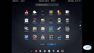 # 02  DEBIAN BUSTER  - GNOME SHELL