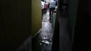 শহরের SDM Office - Agartala