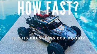 How Fast Is The ECX Roost Brushless Conversion?