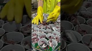 Mega Sardines 12-Hour Catching to Canning! #agribusiness #megasardines