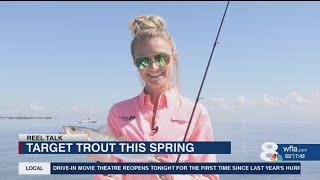 Reel Talk: Catching trout in Tampa Bay