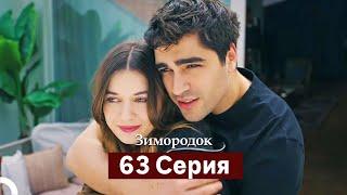 Зимородок 63 Cерия (Русский дубляж)