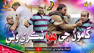 Gamoo Ji Hawa Nikri Wayi | Asif Pahore (Gamoo) | Sajjad Makhni | Gamoo New Video | Comedy Funny