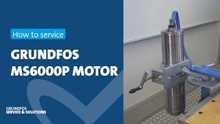 How to service Grundfos MS6000P motor