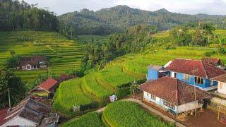 Hanya Ada Di JAWA BARAT, Kampung Terindah Terbersih Seperti Lukisan. Pagi Hari Di Pedesaan Garut