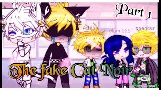 The FAKE Cat Noir | Part 1\? | MLB | Enjoy~