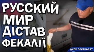 РУССКИЙ МИР гноблять! Дарують їм ФЕКАЛІЇ, псують автобуси БУКВОЮ Z. Українські свині В ШОЦІ від ЩИ