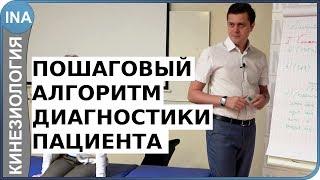 Простой поэтапный алгоритм диагностики пациента. Прикладная кинезиология