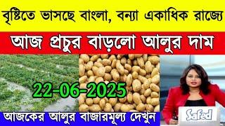 আজকের আলুর বাজার মূল্য/india potato news West bangal/Potato price today west bengal