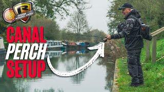 MASTER CANAL LURE FISHING FOR PERCH | AWESOME SETUP | Perch on lures for beginners 