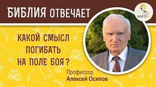 Какой смысл погибать на поле боя? Библия отвечает. Профессор Алексей Ильич Осипов