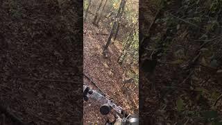 Monster Buck realized he fucked up